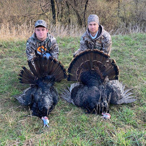 Meet your Posher, Camden